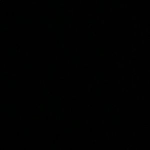 Meet your Posher, Tj